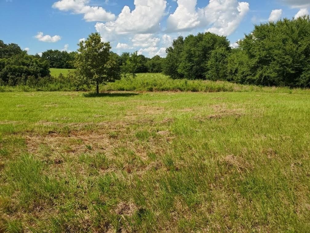 3.73 acres in Rains County - photo 5