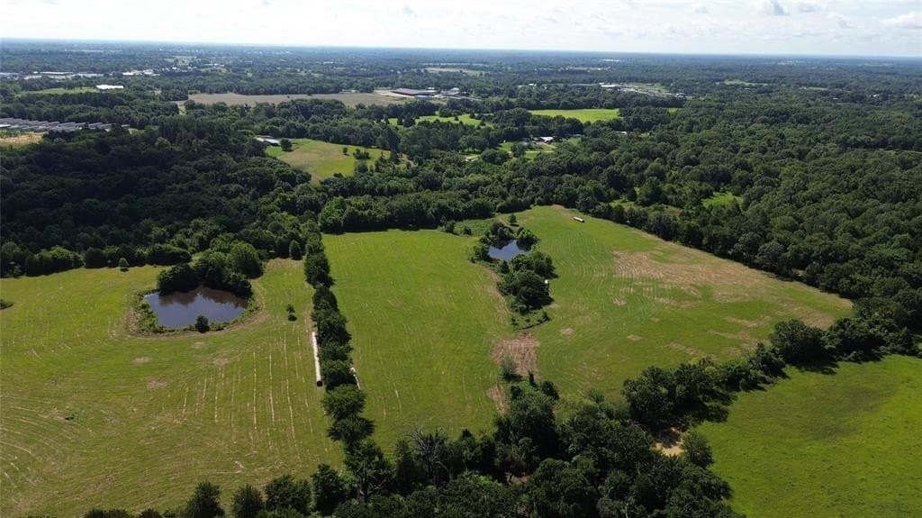 3.73 acres in Rains County - photo 4