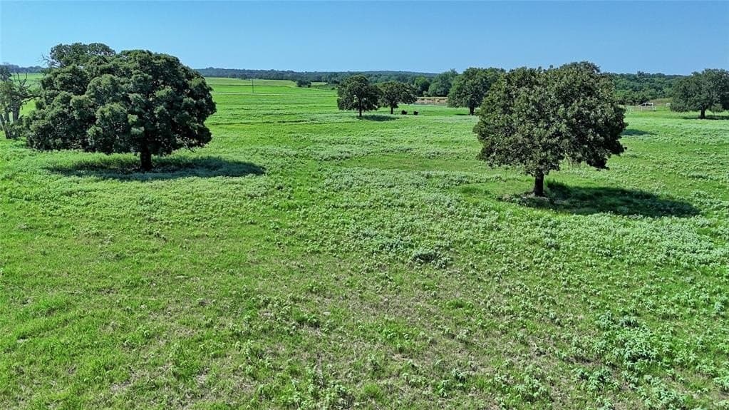 116 acres in Montague County - photo 4