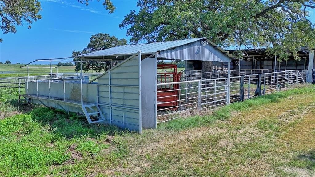 116 acres in Montague County - photo 15