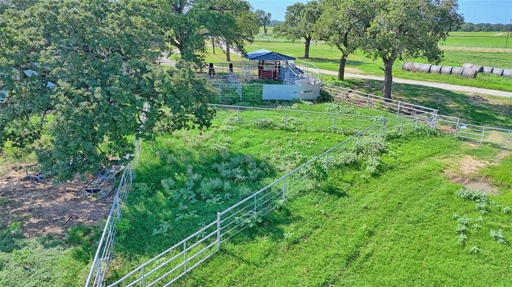 116 acres in Montague County - photo 14