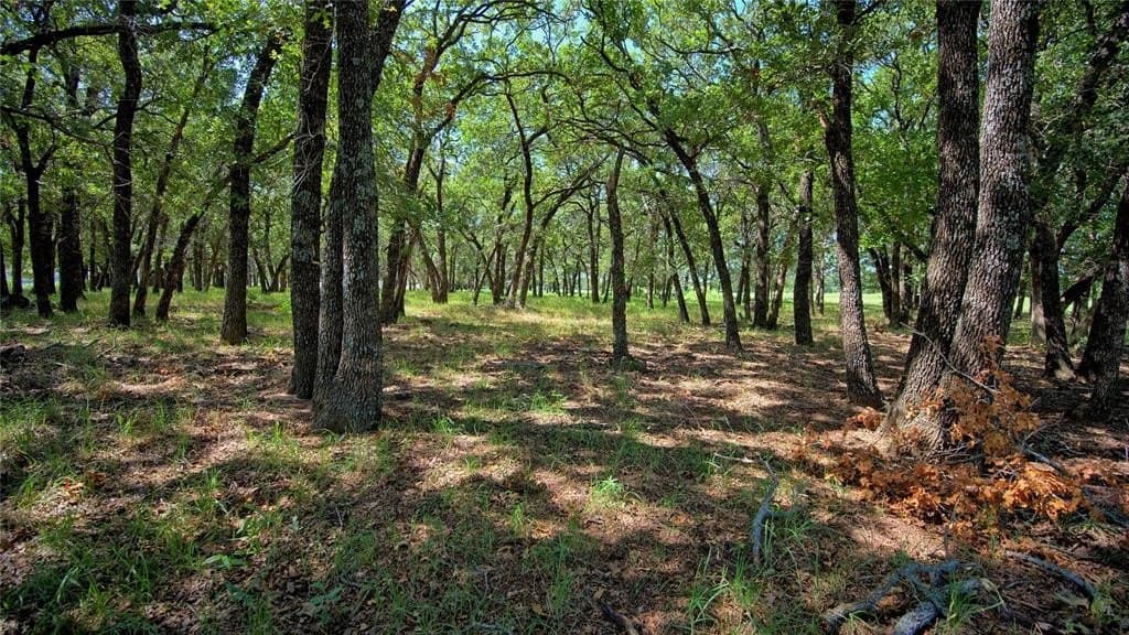 116 acres in Montague County - photo 12