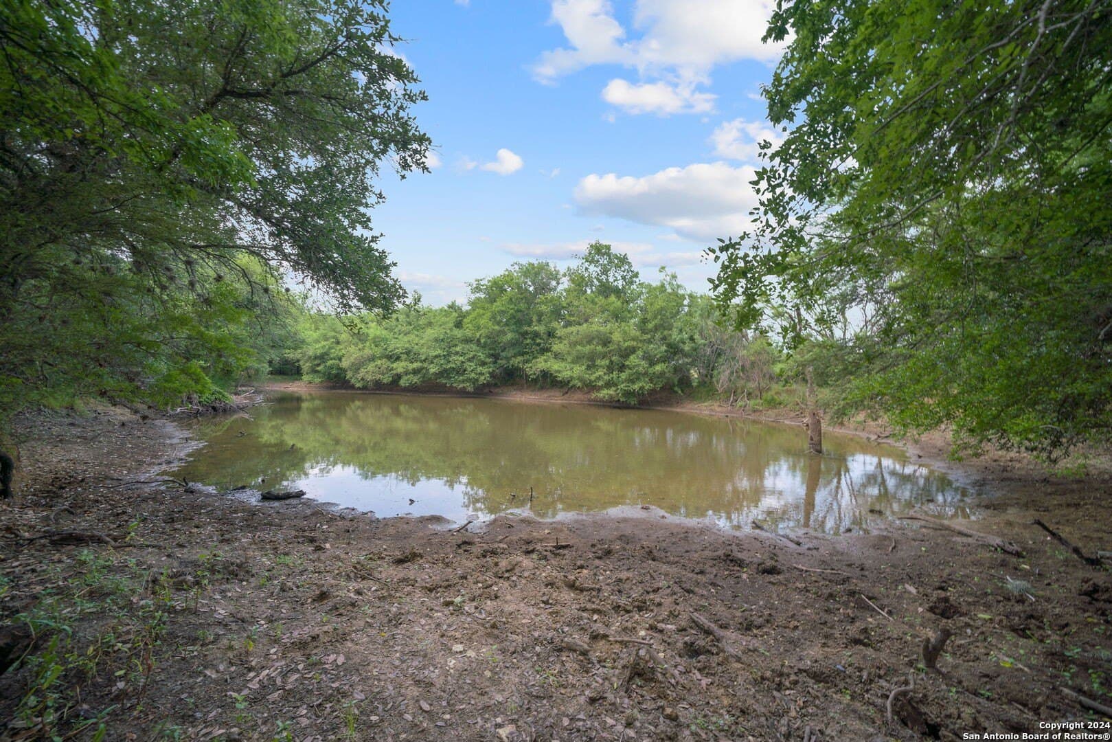 0 acres in Bexar County - photo 56