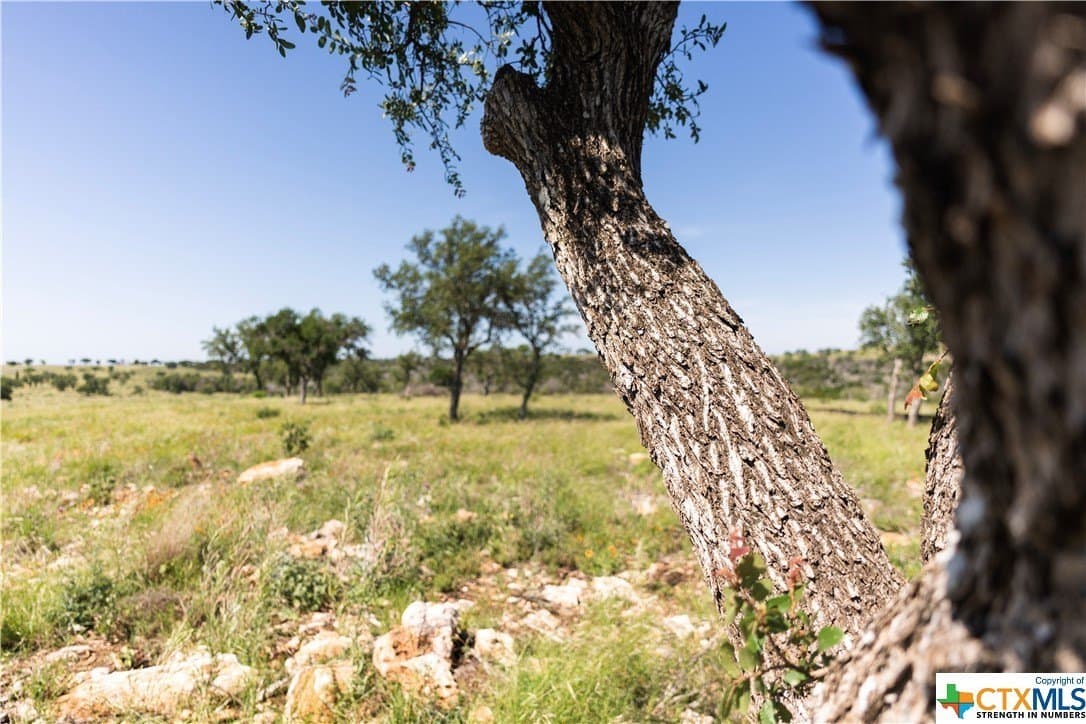 4.19 acres in Burnet County - photo 7
