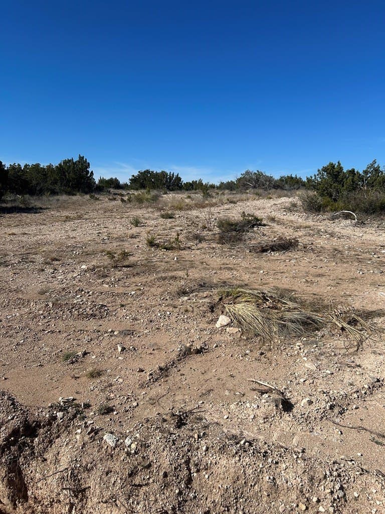 10.59 acres in Tom Green County - photo 10