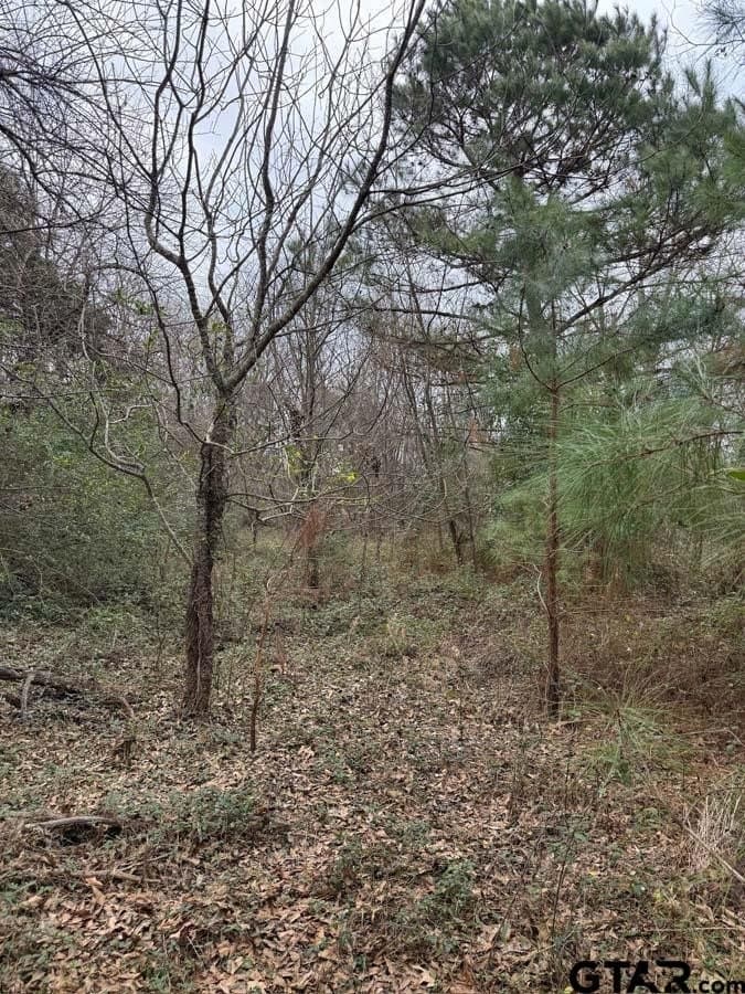 6.4 acres in Smith County - photo 5