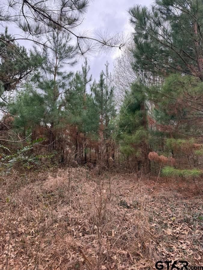 6.4 acres in Smith County - photo 4