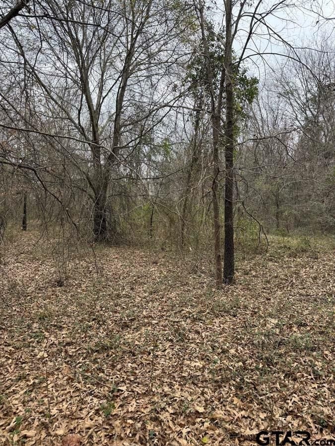 6.4 acres in Smith County - photo 3