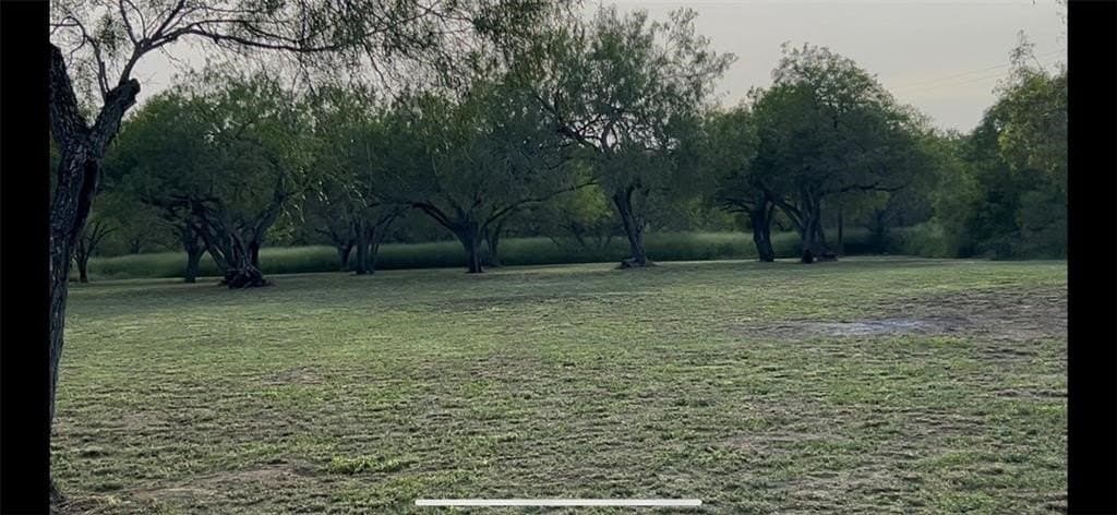 5 acres in San Patricio County - photo 4