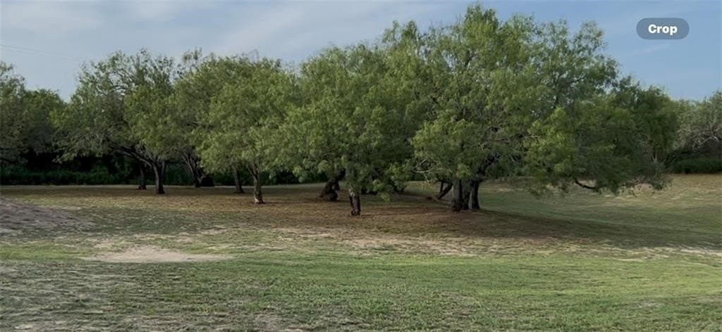 5 acres in San Patricio County - photo 2