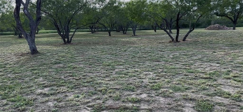 5 acres in San Patricio County - photo 5