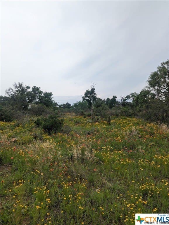 9 acres in Llano County - photo 30