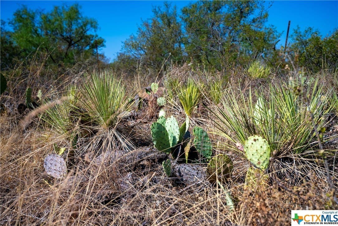9 acres in Llano County - photo 20
