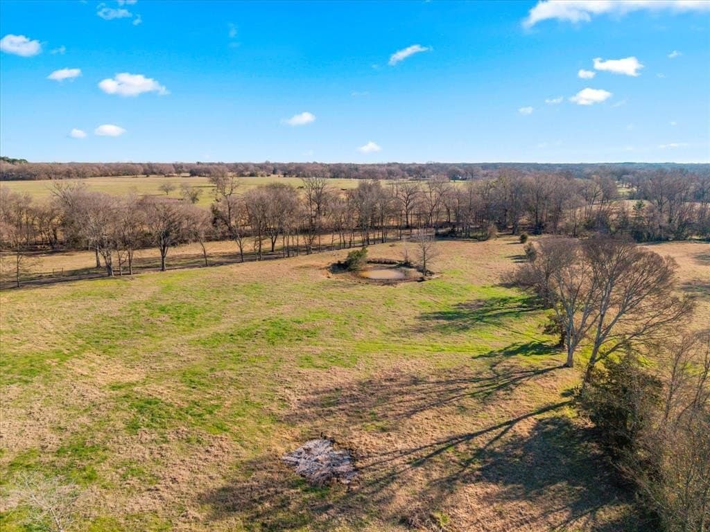 10 acres in Titus County - photo 8