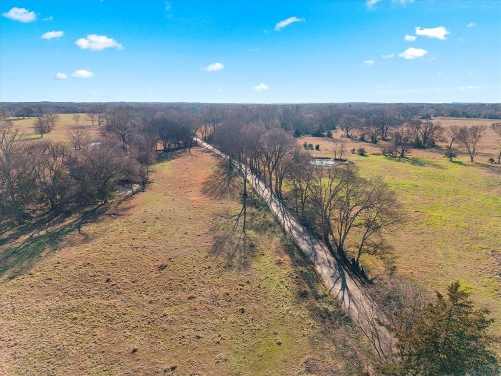 10 acres in Titus County - photo 14