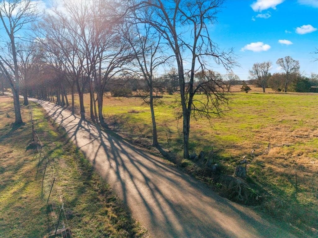 10 acres in Titus County - photo 4
