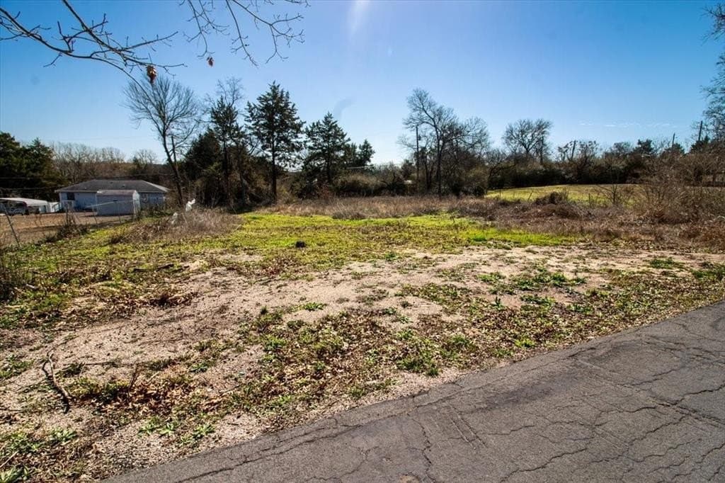 0.3 acres in Dallas County - photo 9