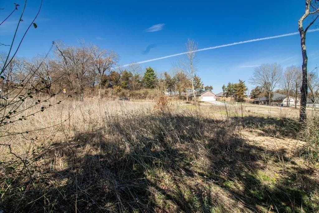 0.3 acres in Dallas County - photo 7