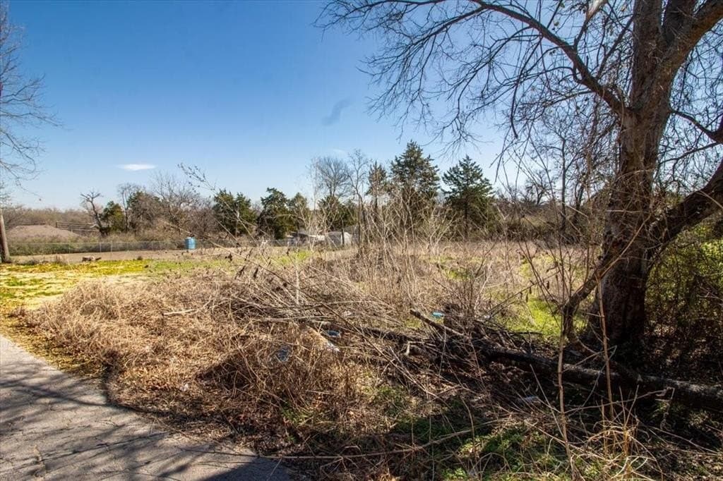 0.3 acres in Dallas County - photo 10