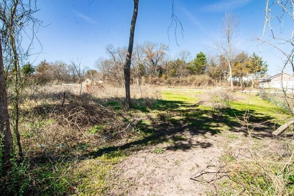 0.3 acres in Dallas County - photo 3