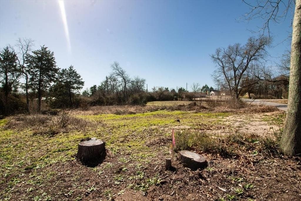 0.3 acres in Dallas County - photo 2