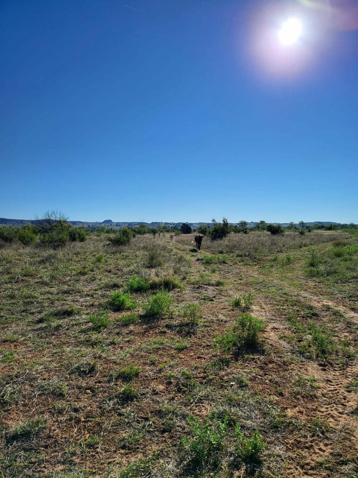 14.34 acres in Potter County - photo 5