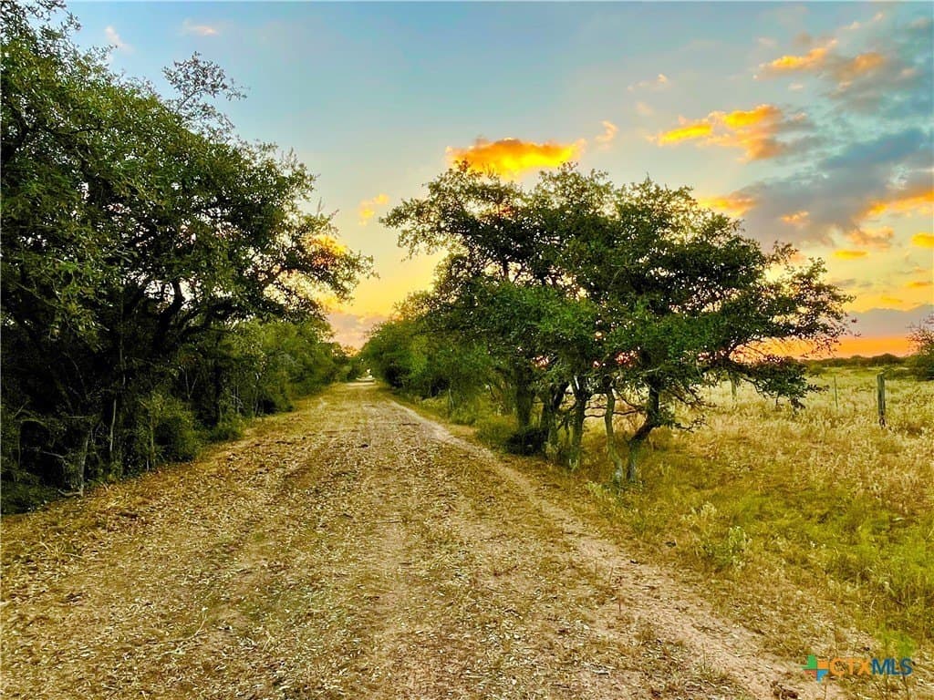 444 acres in Lavaca County - photo 12