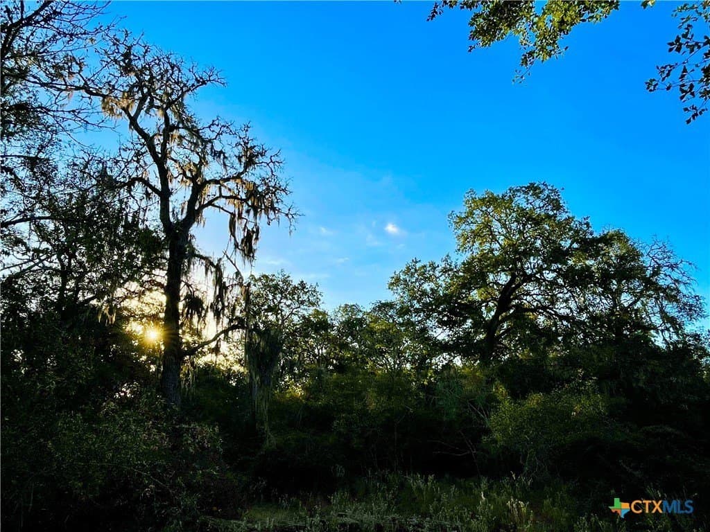 444 acres in Lavaca County - photo 30