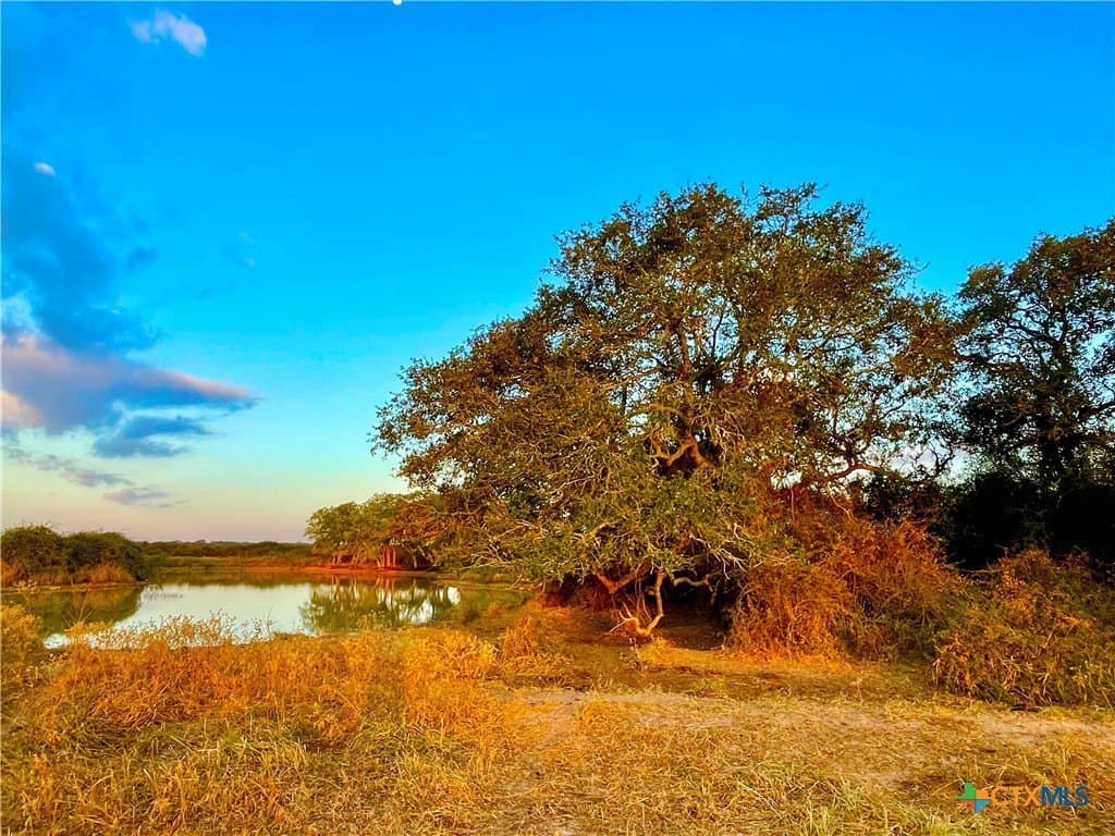 444 acres in Lavaca County - photo 19