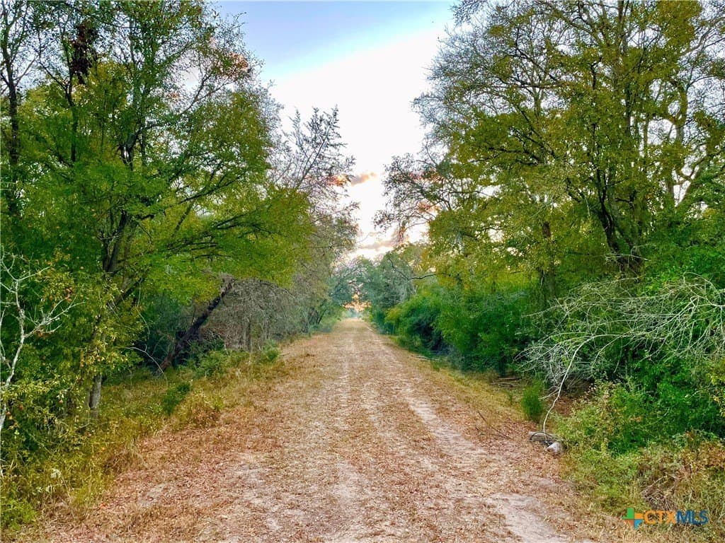 444 acres in Lavaca County - photo 9