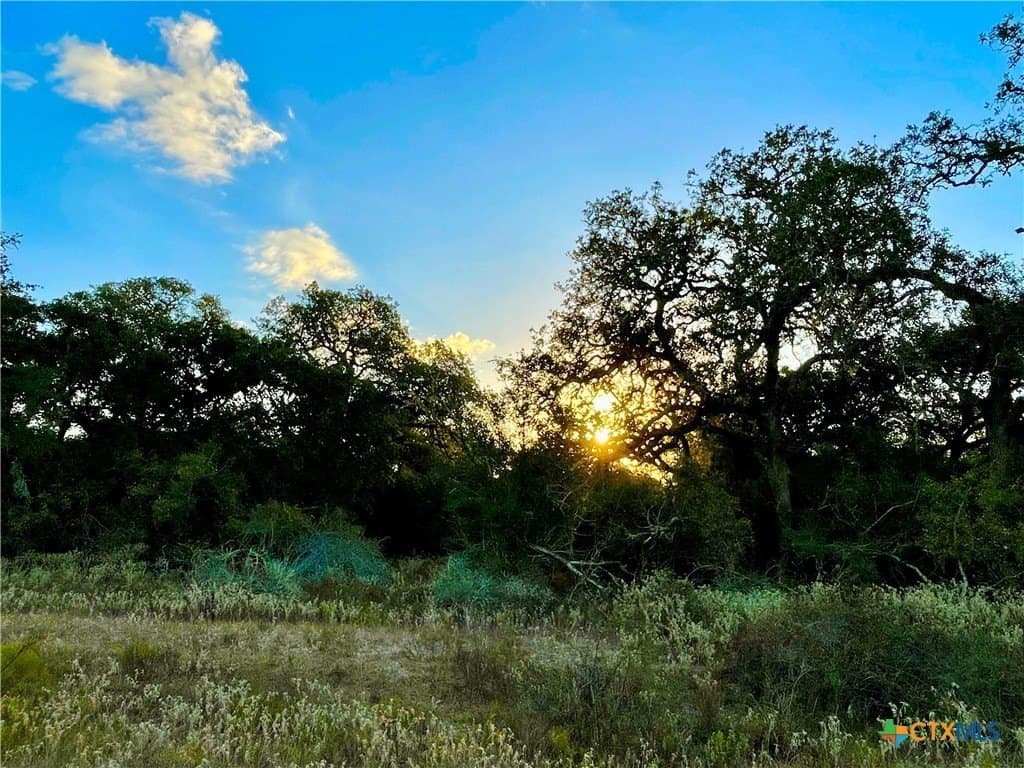 444 acres in Lavaca County - photo 27