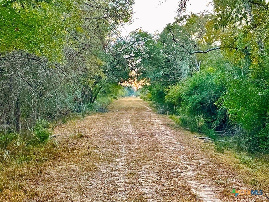 444 acres in Lavaca County - photo 7