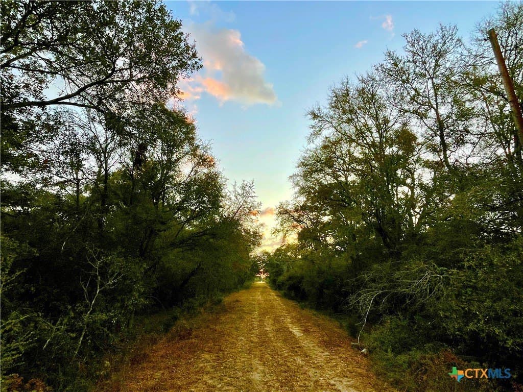 444 acres in Lavaca County - photo 8