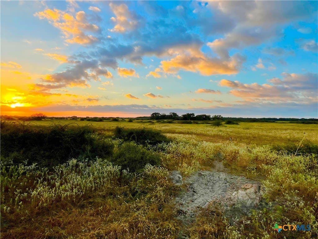 444 acres in Lavaca County - photo 3