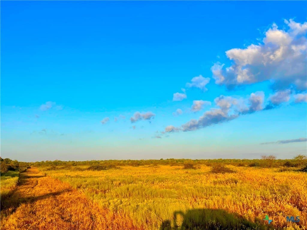 444 acres in Lavaca County - photo 29
