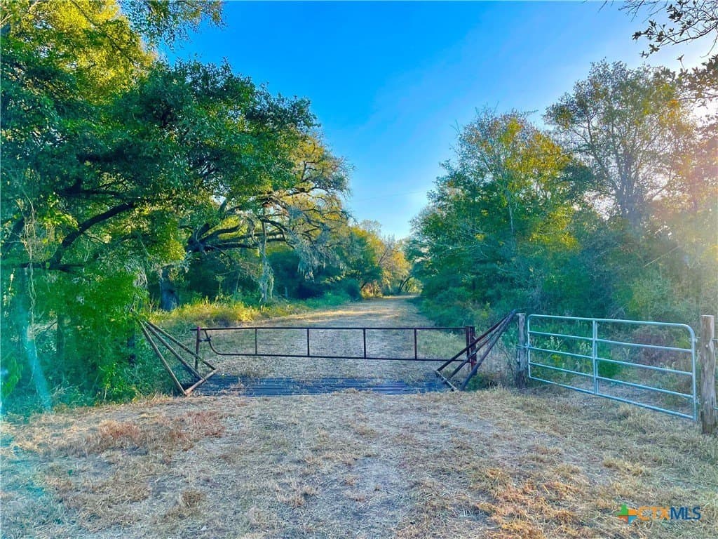 444 acres in Lavaca County - photo 6