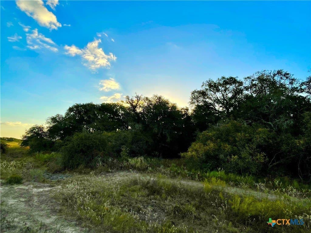 444 acres in Lavaca County - photo 25