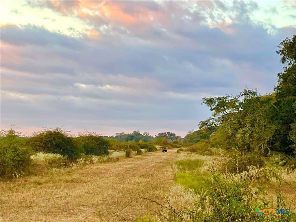 444 acres in Lavaca County - photo 17