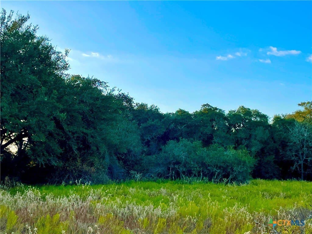 444 acres in Lavaca County - photo 24