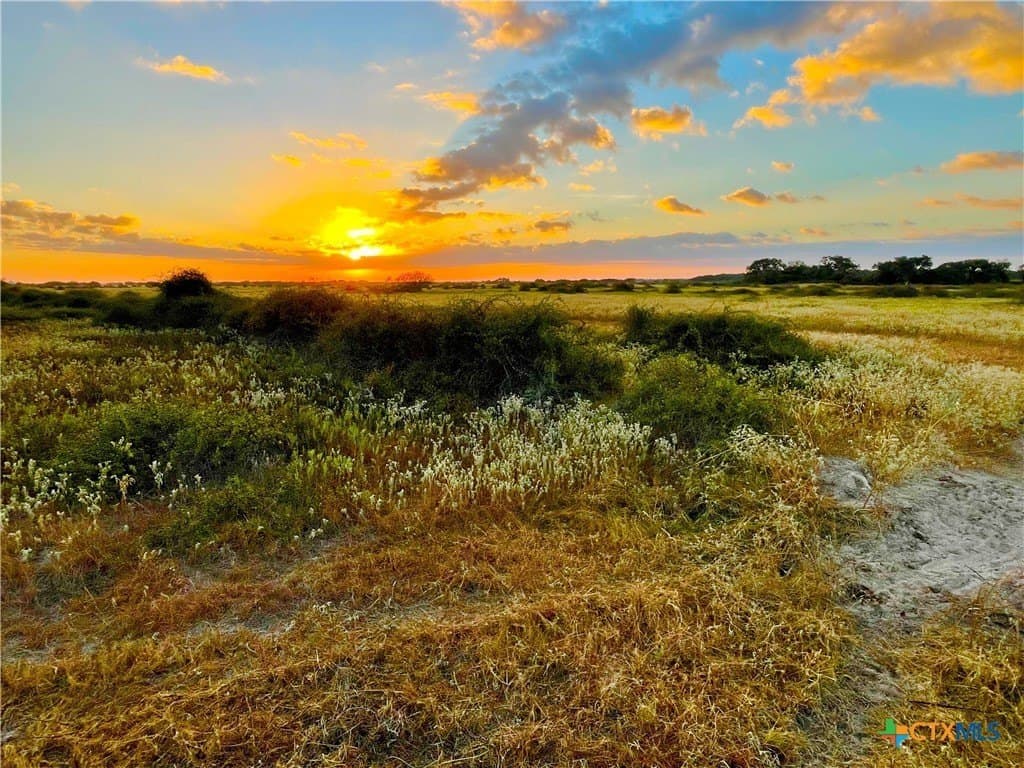 444 acres in Lavaca County - photo 16