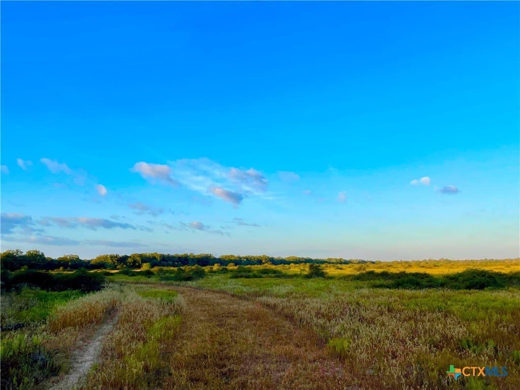 444 acres in Lavaca County - photo 26