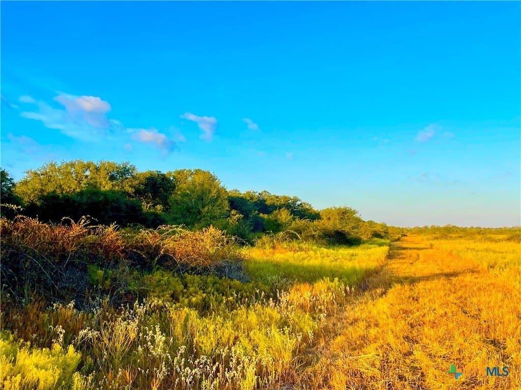 444 acres in Lavaca County - photo 28