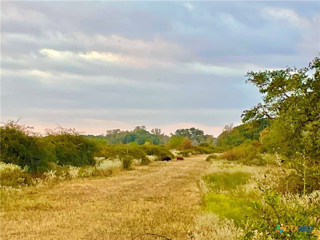 444 acres in Lavaca County - photo 18