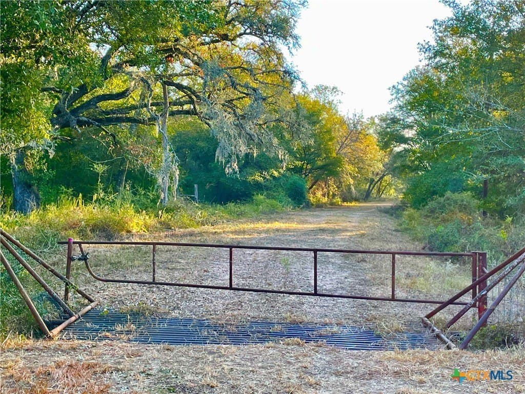 444 acres in Lavaca County - photo 5