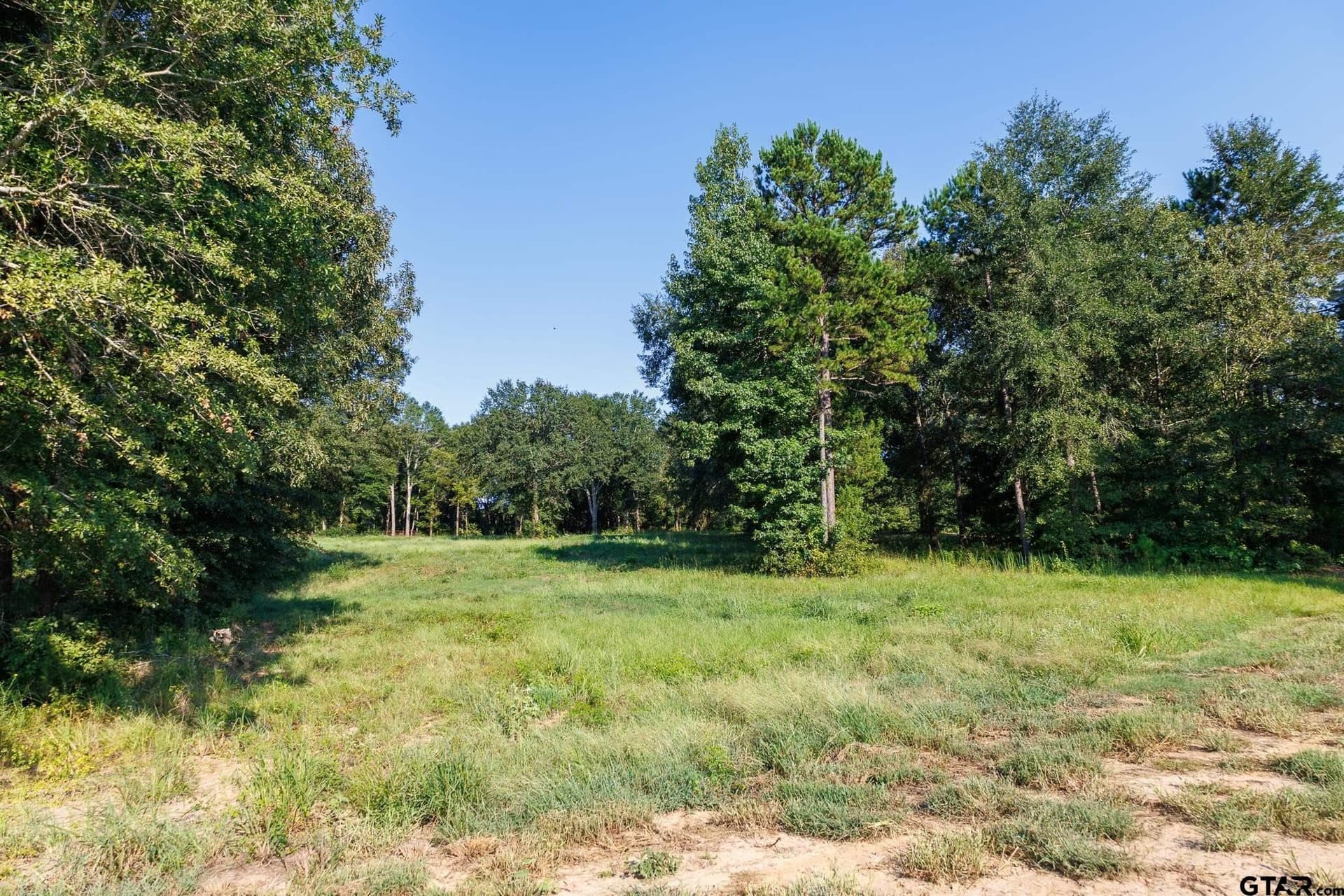 35 acres in Smith County - photo 23