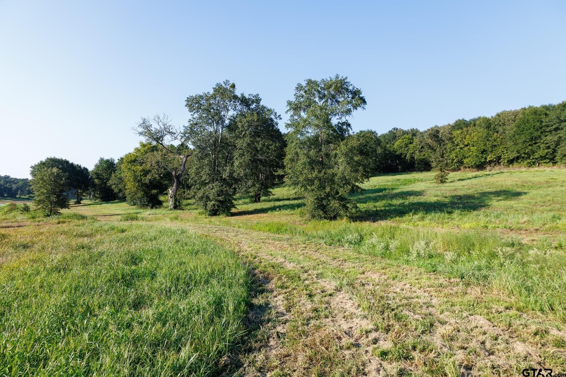 35 acres in Smith County - photo 25