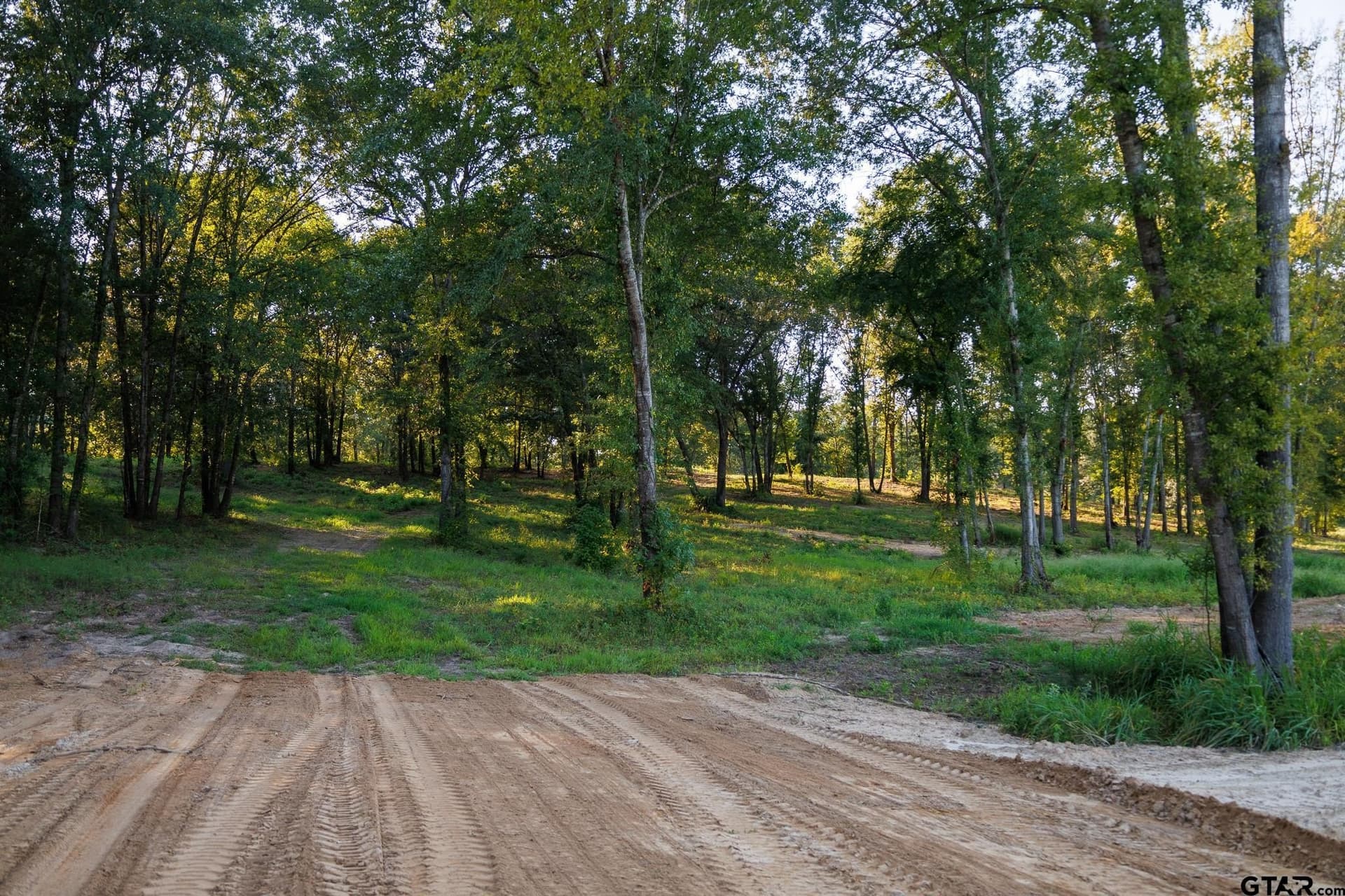 35 acres in Smith County - photo 32