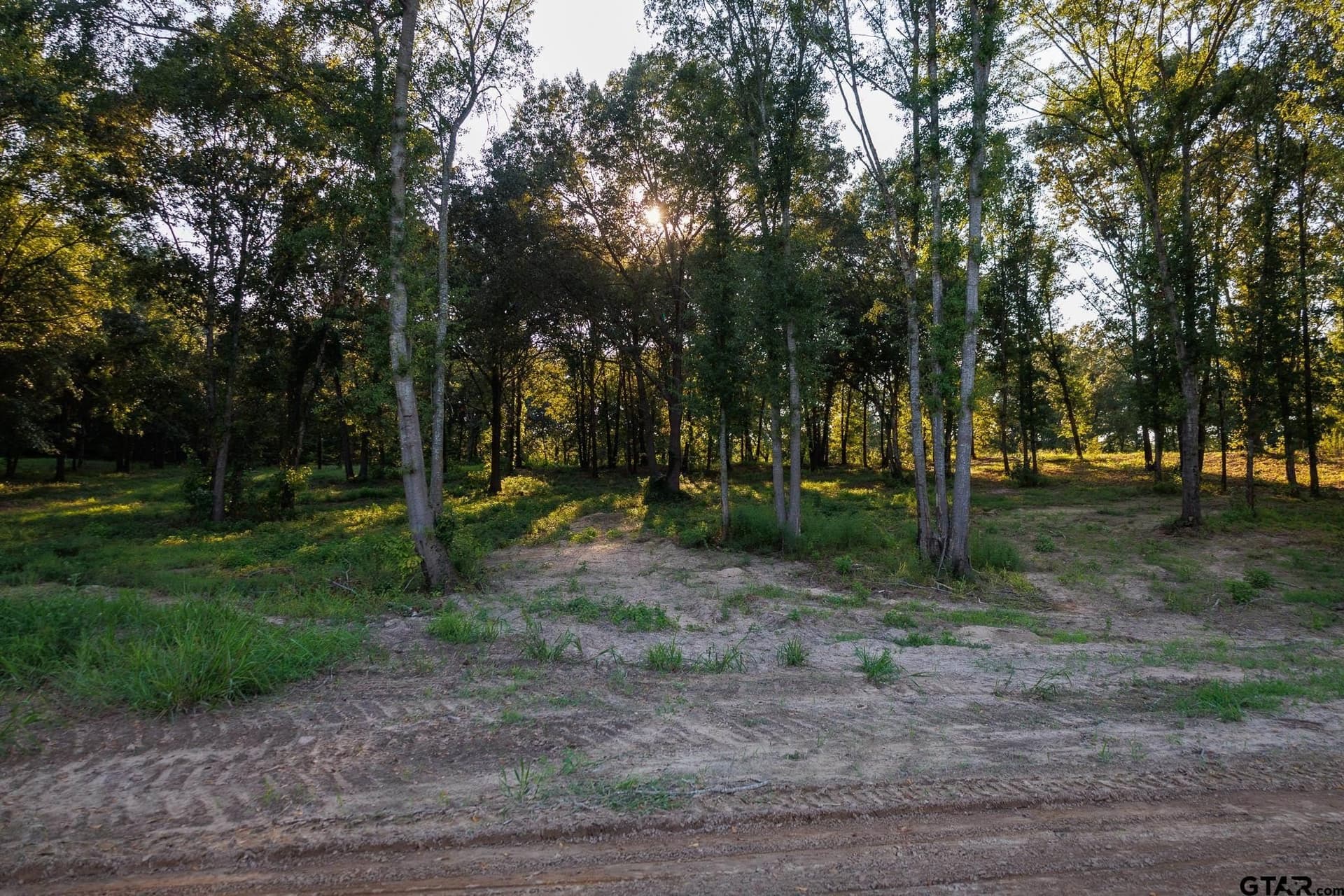 35 acres in Smith County - photo 31