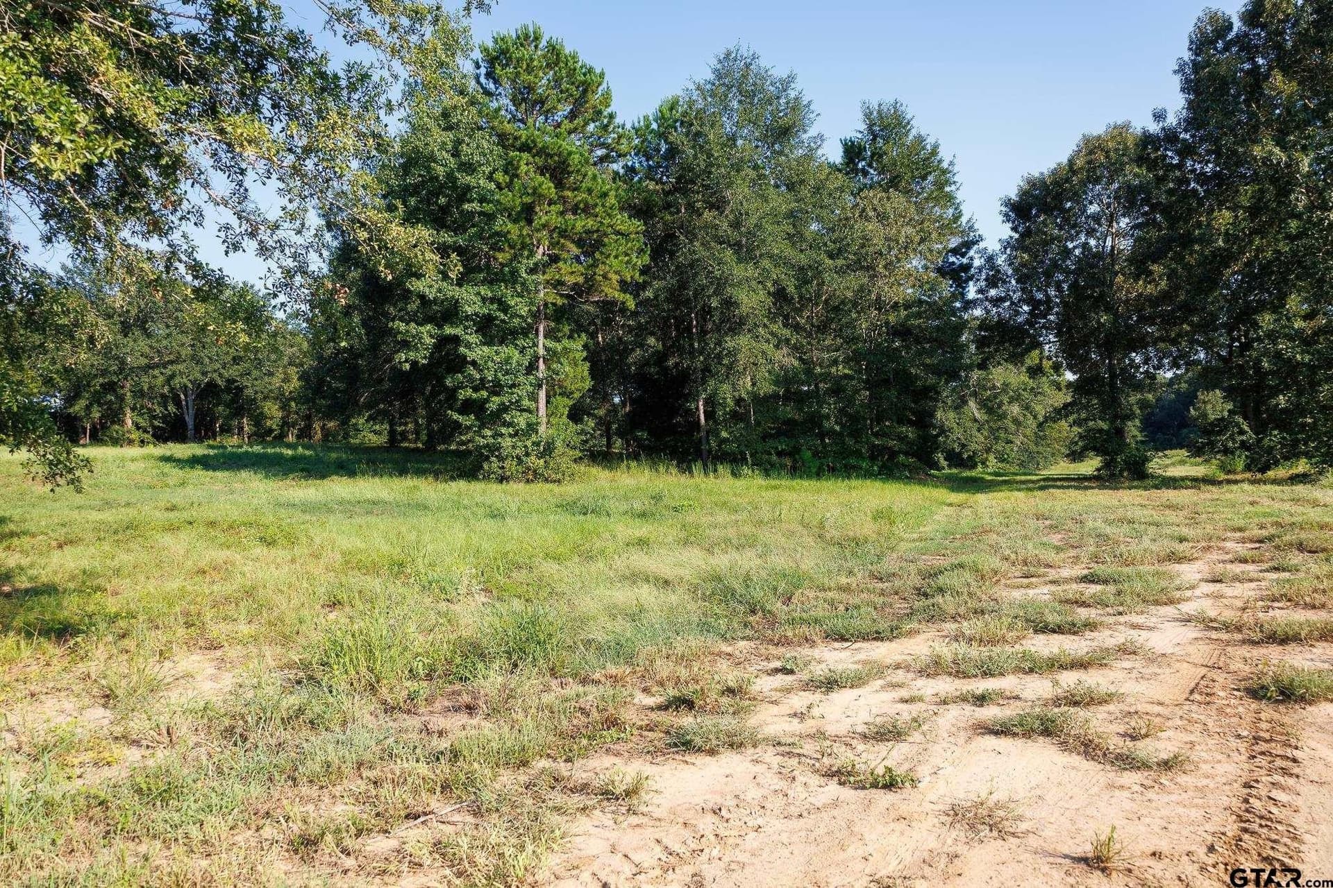 35 acres in Smith County - photo 22