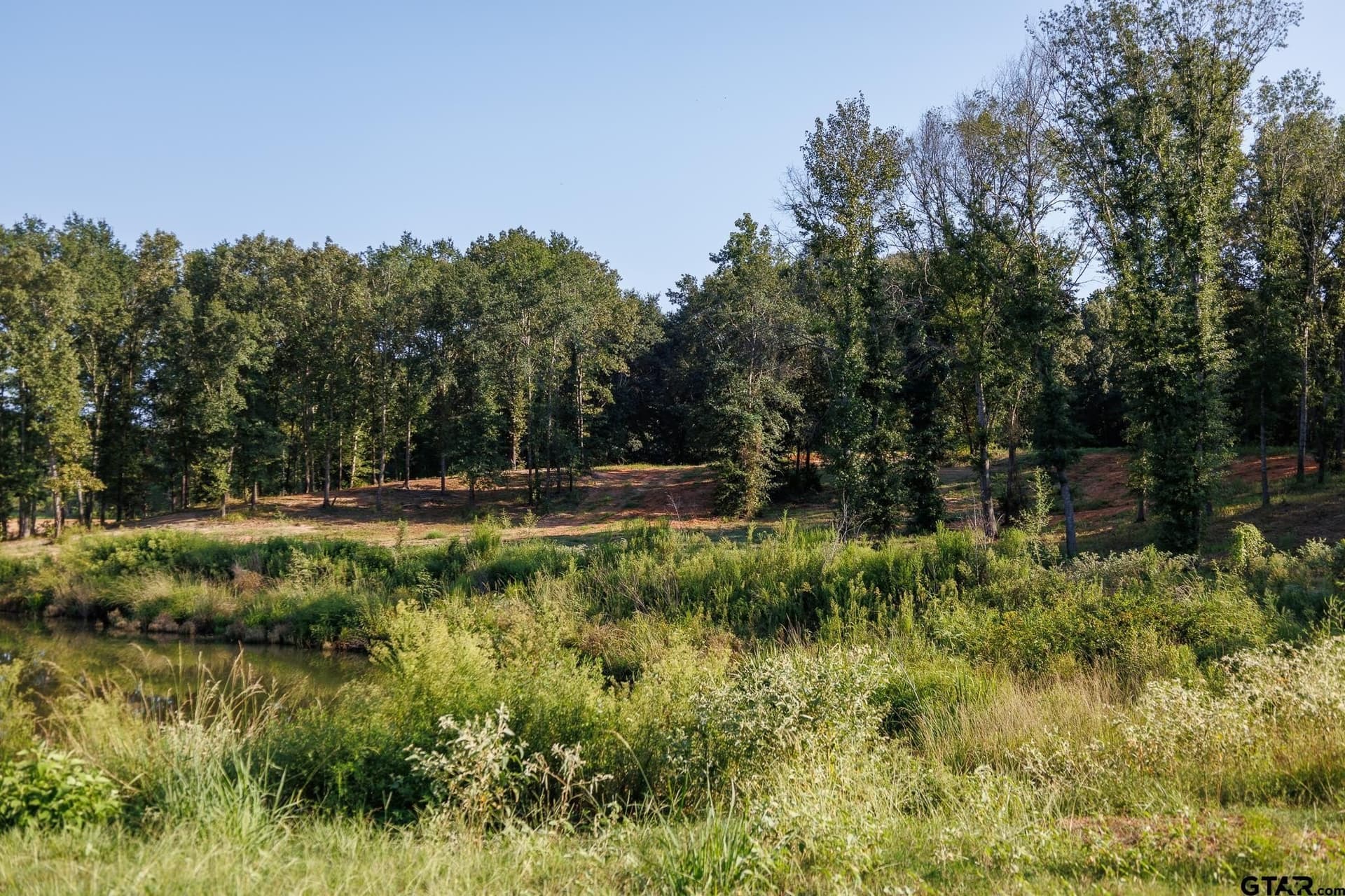35 acres in Smith County - photo 7